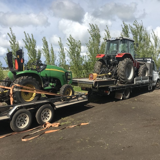 Captain Tree Service | Tree Removal | Tree Service