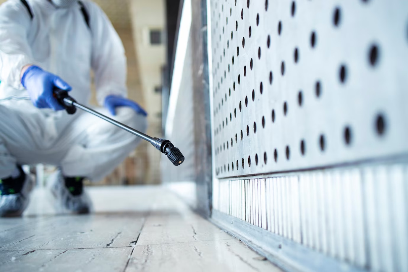 OZ Pest Control Canberra